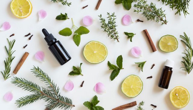 افضل زيت للشعر