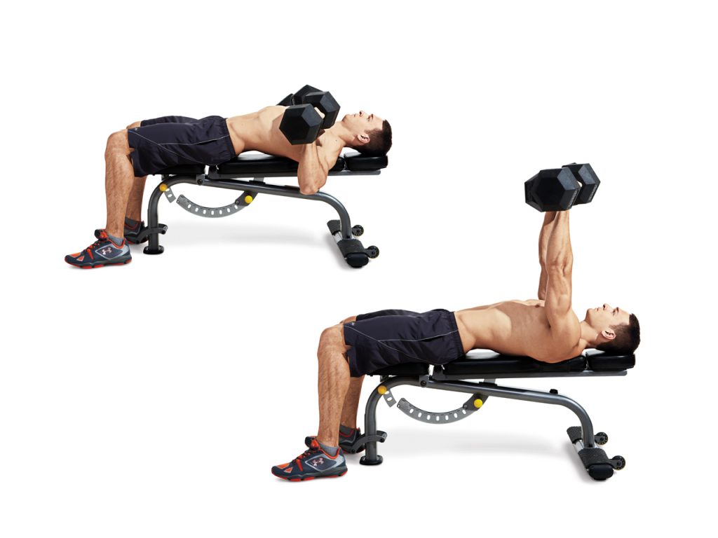 form templates dumbbell bench press chest weights