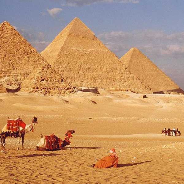 بوتكس المعدة في مصر (1)