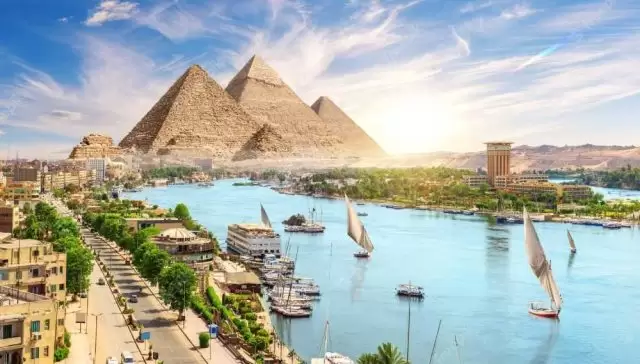 بوتكس المعدة في مصر